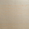 Agami Plain