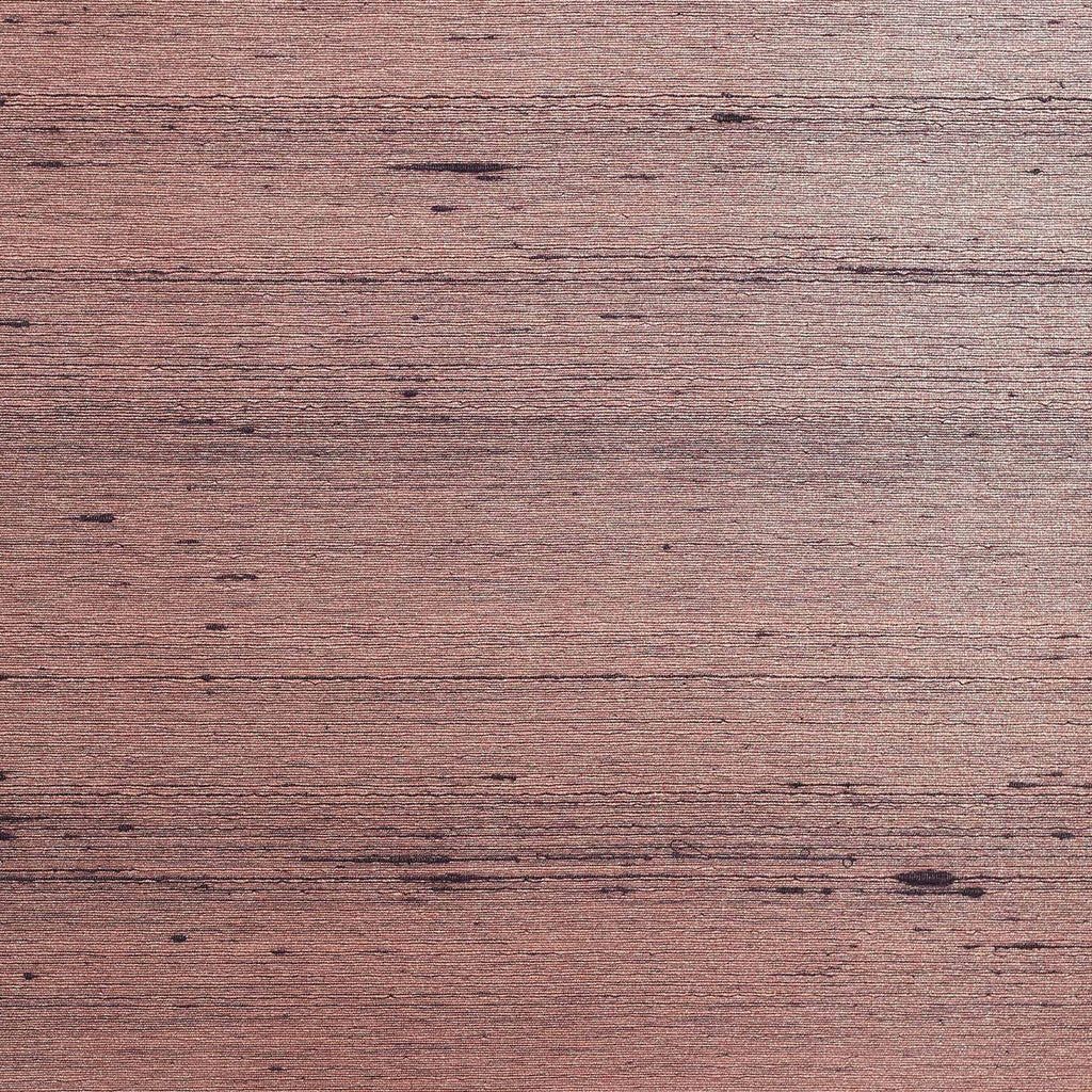 Fuligule Plain