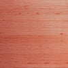 Bucorve Plain