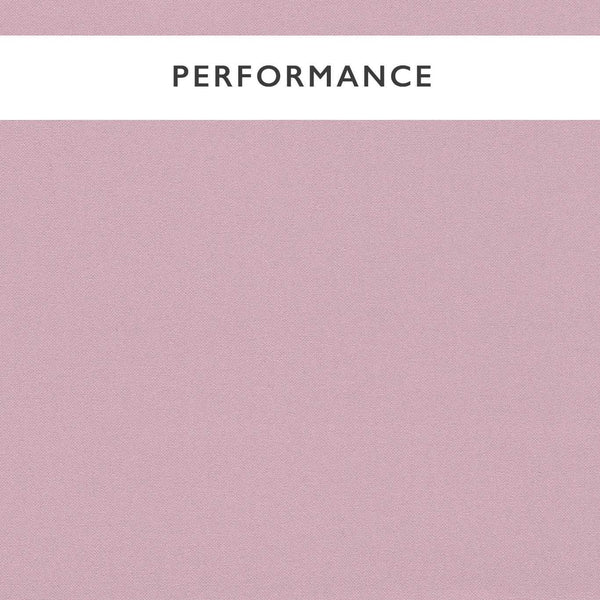 Allegra Lilac | Harlequin