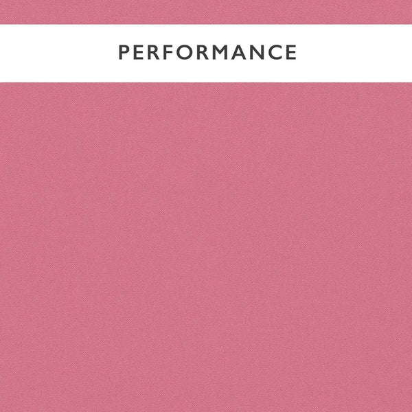 Allegra Peony | Harlequin