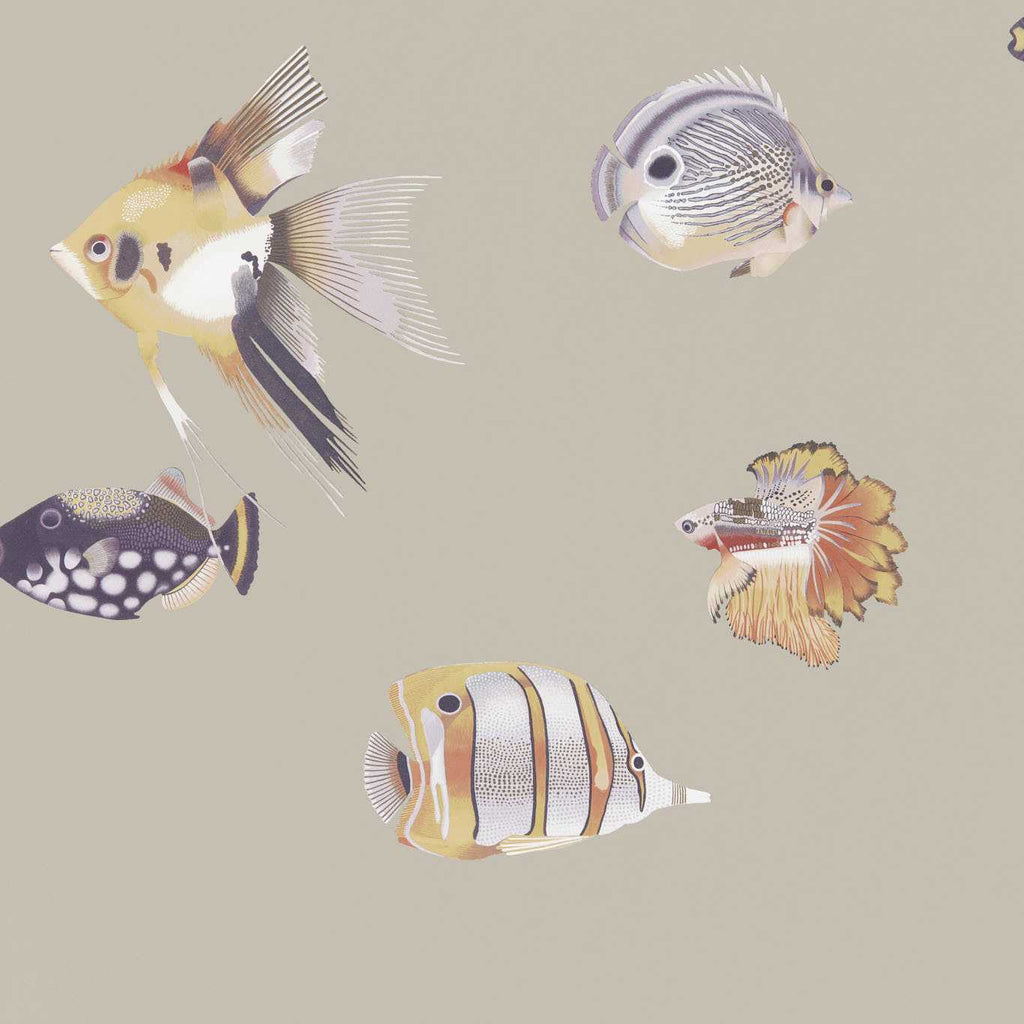 Kamanu Mandarin Fig Wallcovering | Harlequin