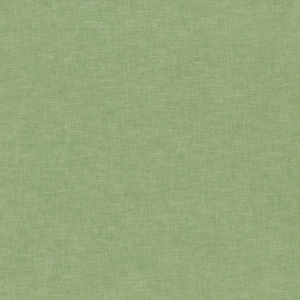 Ario Aloe | Harlequin