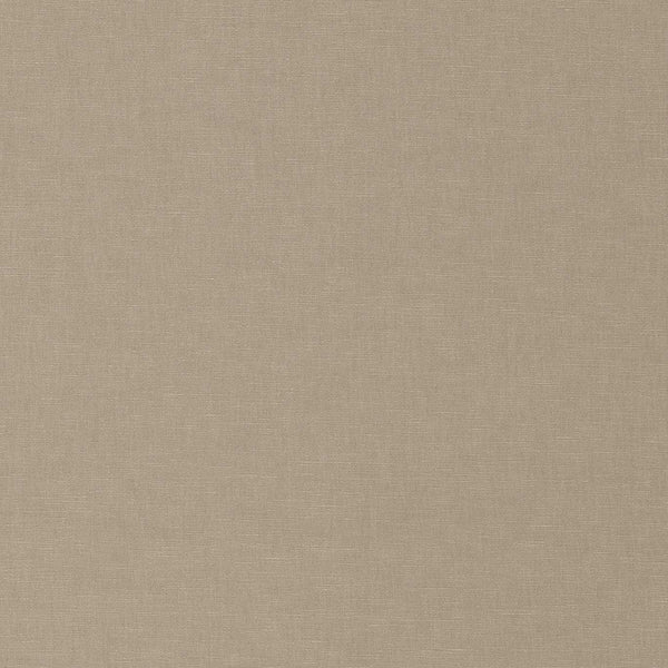 Ario Fog | Harlequin