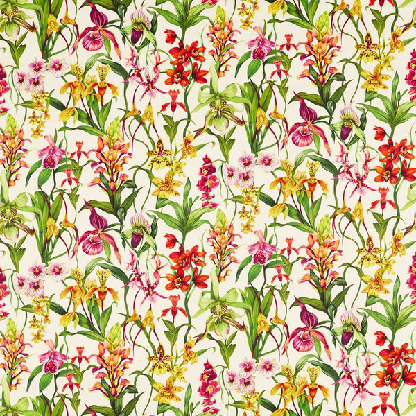 Kalina Parchment/Forest/Azalea | Harlequin