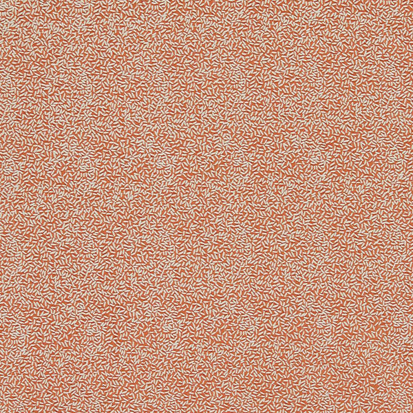 Sow Baked Terracotta/Soft Focus | Harlequin
