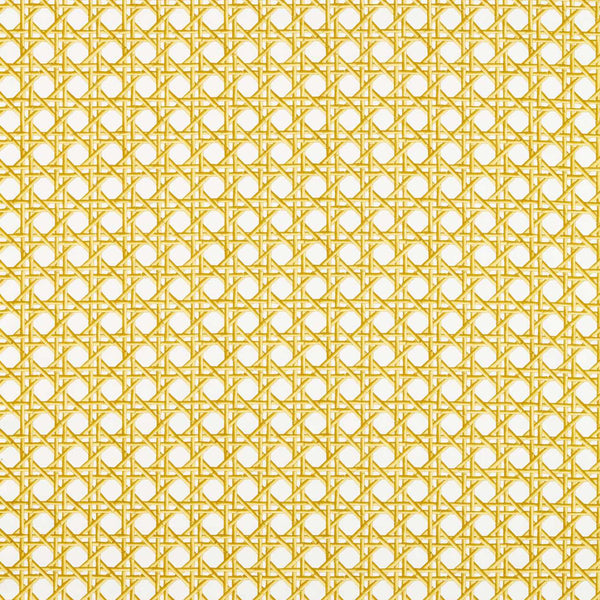 Lovelace Honey/Paper Lantern | Harlequin