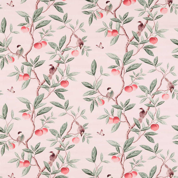 Ella Powder/ Sage / Peach | Harlequin