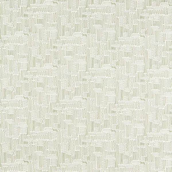 Hollow Evergreen | Harlequin