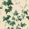 Hedera Viridian, Sample