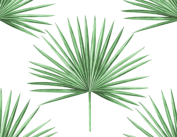 Malibu Ps Pacific Palm Coastal Botanical - Greenery | Peel and Stick Removable Wallcovering