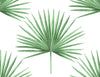 Malibu PS Pacific Palm Coastal Botanical - Greenery | Peel and Stick Removable Wallpaper