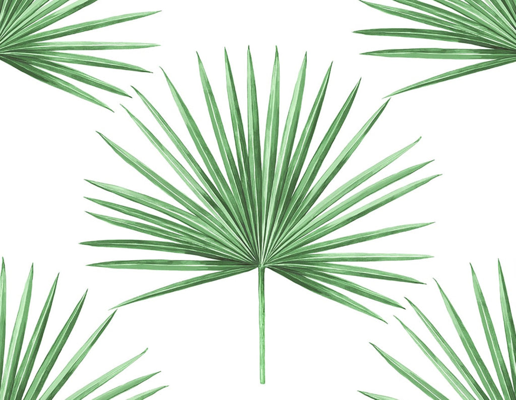 Malibu PS Pacific Palm Coastal Botanical - Greenery | Peel and Stick Removable Wallpaper