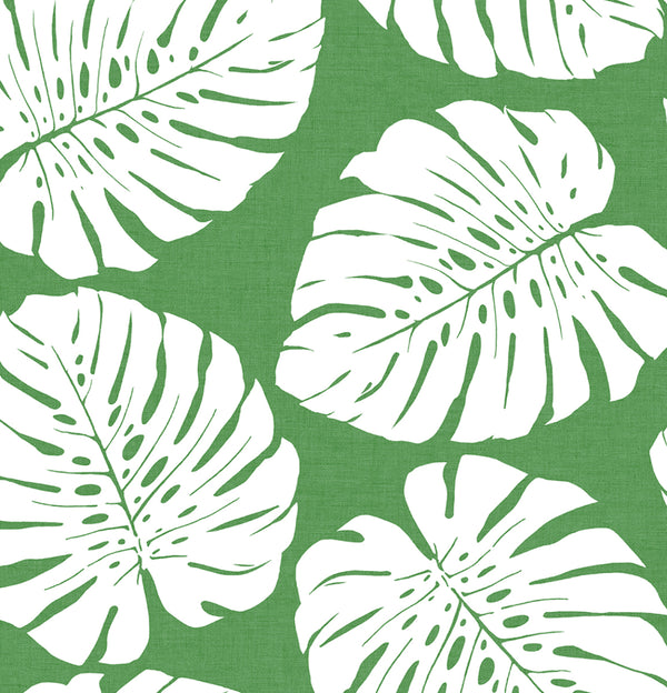 Malibu Ps Monstera Leaf Tropical Botanical - Green | Peel and Stick Removable Wallcovering