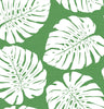 Malibu PS Monstera Leaf Tropical Botanical - Green | Peel and Stick Removable Wallpaper