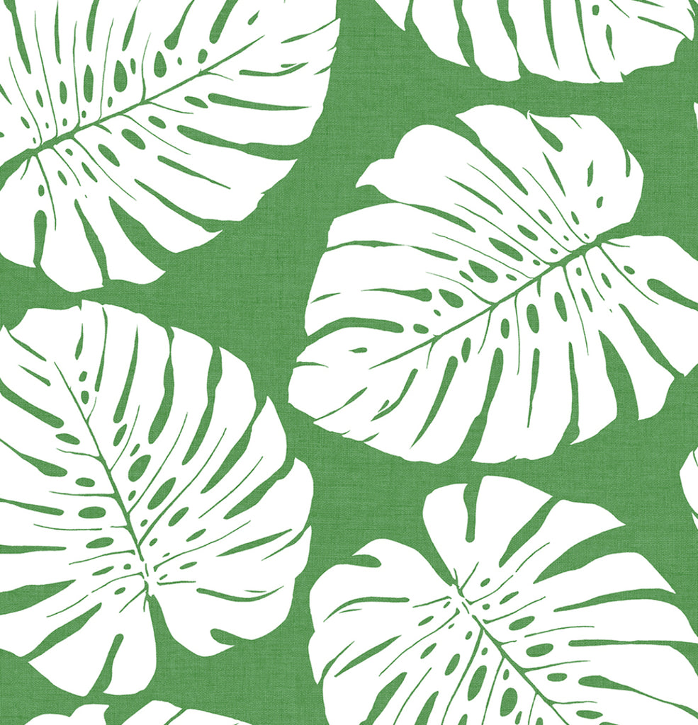 Malibu PS Monstera Leaf Tropical Botanical - Green | Peel and Stick Removable Wallpaper