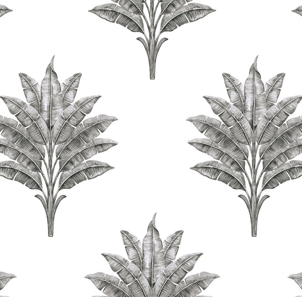 Malibu Ps Sea Breeze Palm Coastal Botanical - Charcoal | Peel and Stick Removable Wallcovering