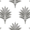 Malibu PS Sea Breeze Palm Coastal Botanical - Charcoal | Peel and Stick Removable Wallpaper