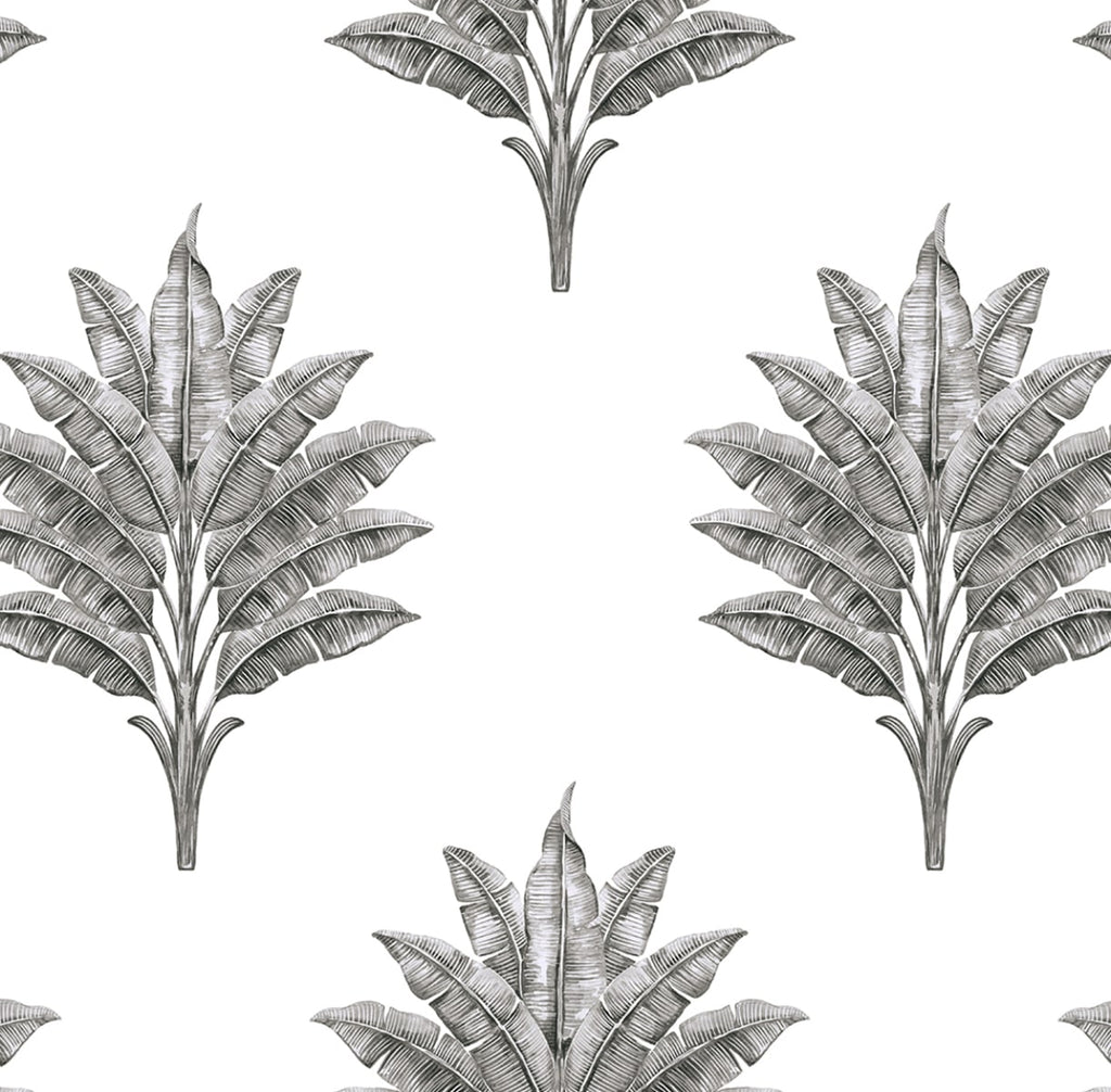 Malibu PS Sea Breeze Palm Coastal Botanical - Charcoal | Peel and Stick Removable Wallpaper