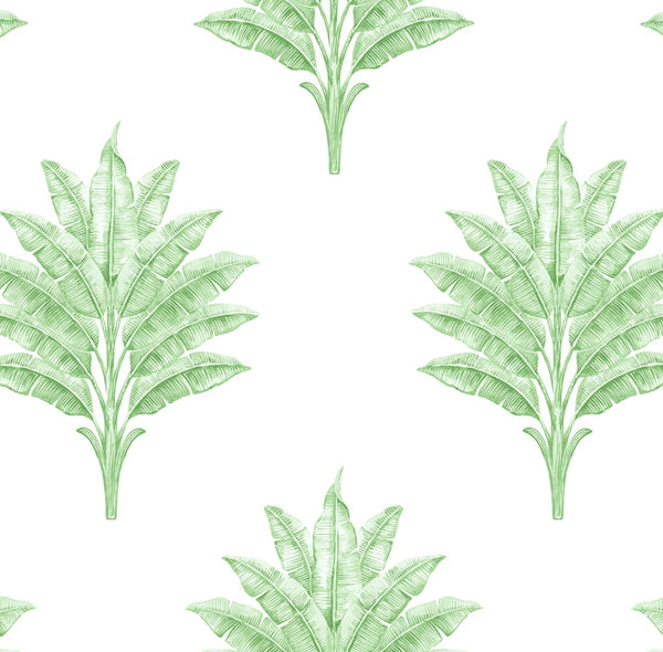 Malibu Ps Sea Breeze Palm Coastal Botanical - Greenery | Peel and Stick Removable Wallcovering