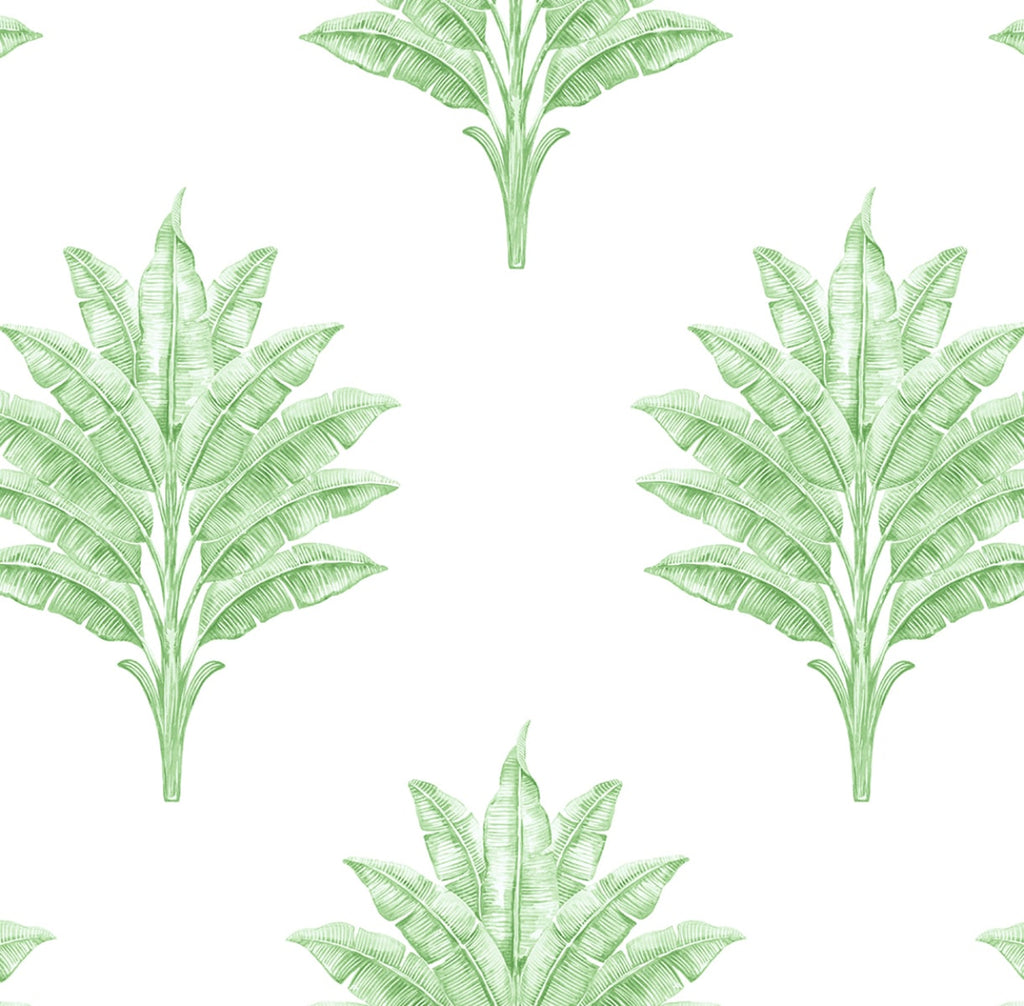 Malibu PS Sea Breeze Palm Coastal Botanical - Greenery | Peel and Stick Removable Wallpaper