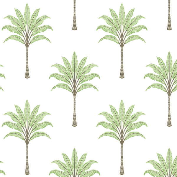 Malibu Ps Montgomery Palm Coastal Botanical - Green Tea | Peel and Stick Removable Wallcovering