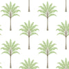 Malibu PS Montgomery Palm Coastal Botanical - Green Tea | Peel and Stick Removable Wallpaper
