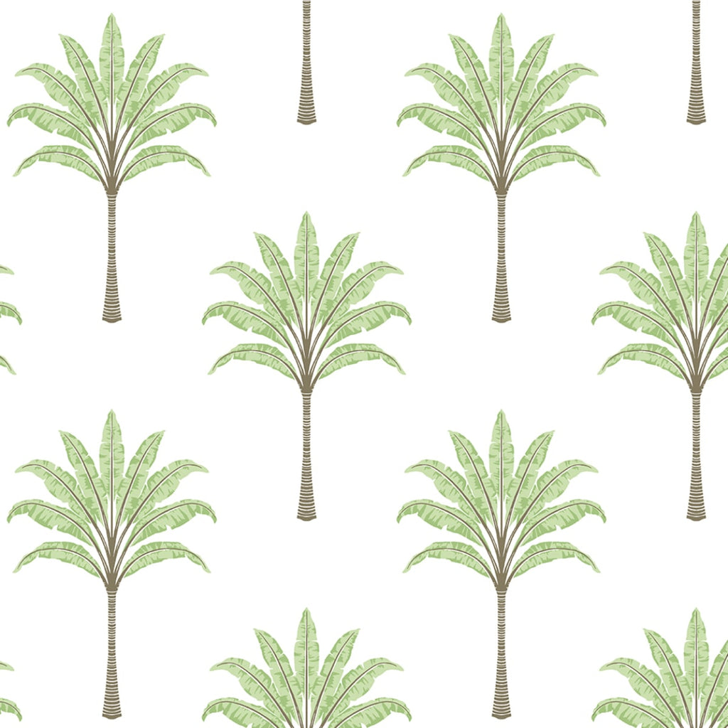 Malibu PS Montgomery Palm Coastal Botanical - Green Tea | Peel and Stick Removable Wallpaper