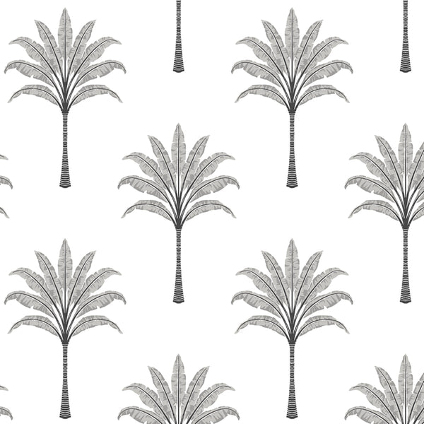 Malibu Ps Montgomery Palm Coastal Botanical - Harbor Grey | Peel and Stick Removable Wallcovering