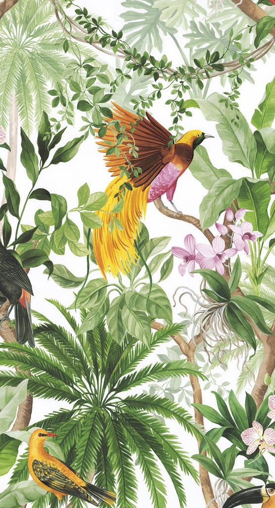 Malibu PS Tropical Bird Tropical Botanical - White | Peel and Stick Removable Wallpaper