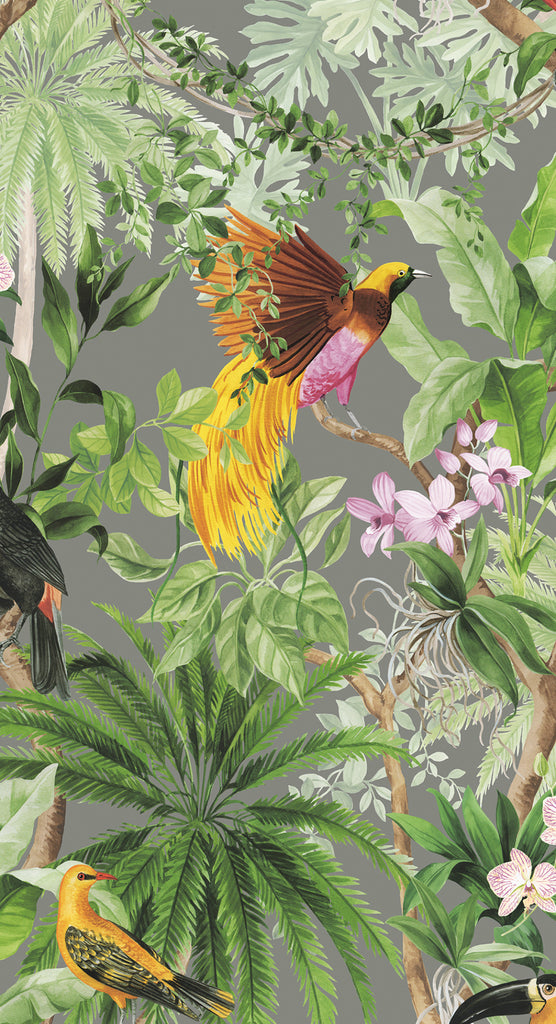 Malibu PS Tropical Bird Tropical Botanical - Grey | Peel and Stick Removable Wallpaper