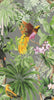 Malibu PS Tropical Bird Tropical Botanical - Grey | Peel and Stick Removable Wallpaper