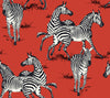 Malibu PS Playful Zebras Contemporary Animal Print - Red | Peel and Stick Removable Wallpaper