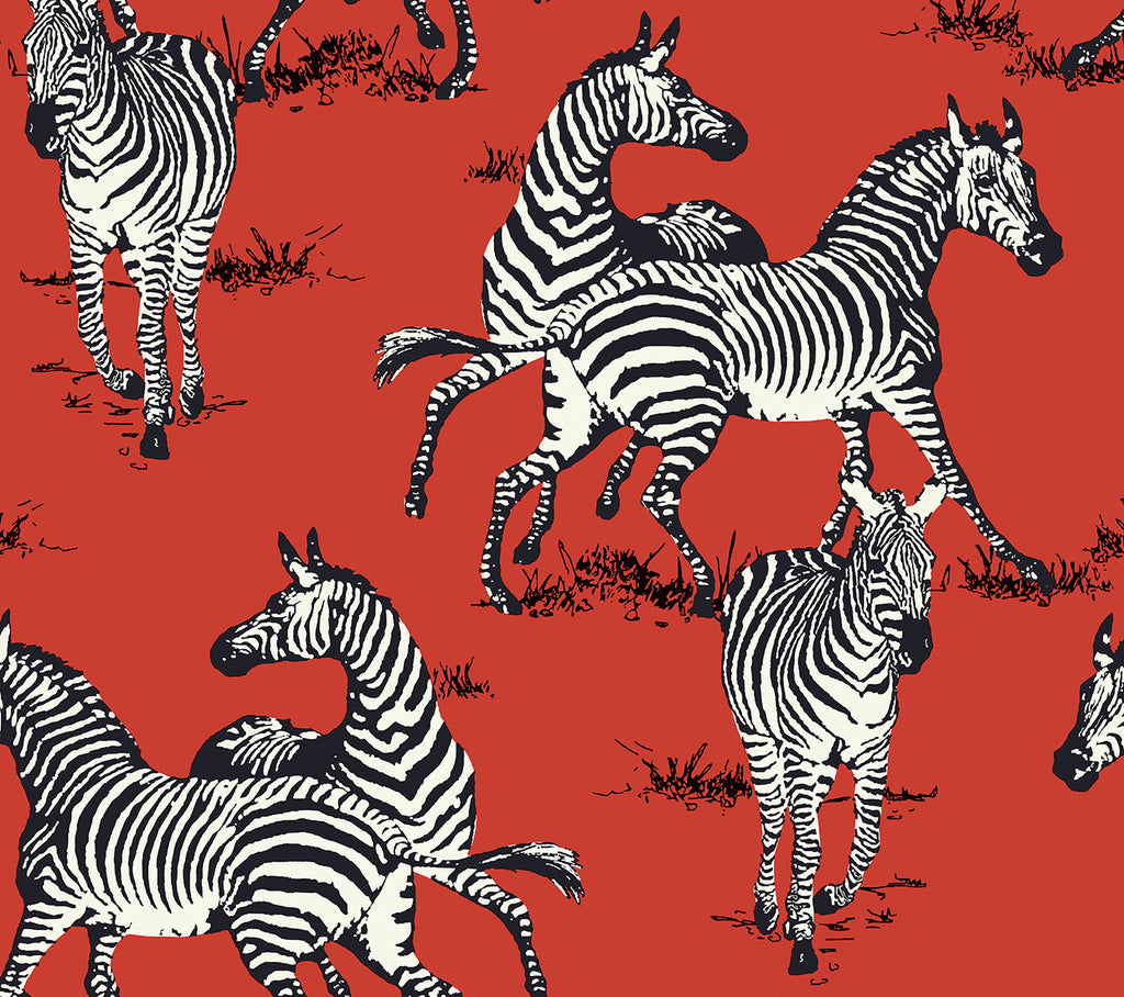 Malibu PS Playful Zebras Contemporary Animal Print - Red | Peel and Stick Removable Wallpaper
