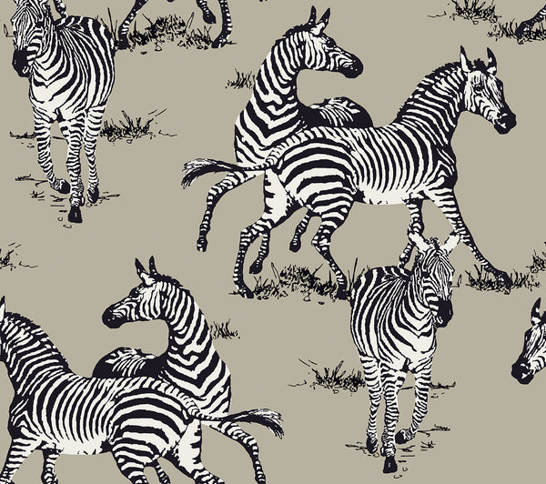 Malibu Ps Playful Zebras Contemporary Animal Print - Light Blue | Peel and Stick Removable Wallcovering