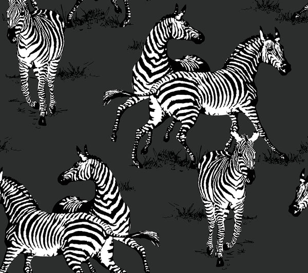 Malibu Ps Playful Zebras Contemporary Animal Print - Charcoal | Peel and Stick Removable Wallcovering