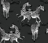 Malibu PS Playful Zebras Contemporary Animal Print - Charcoal | Peel and Stick Removable Wallpaper