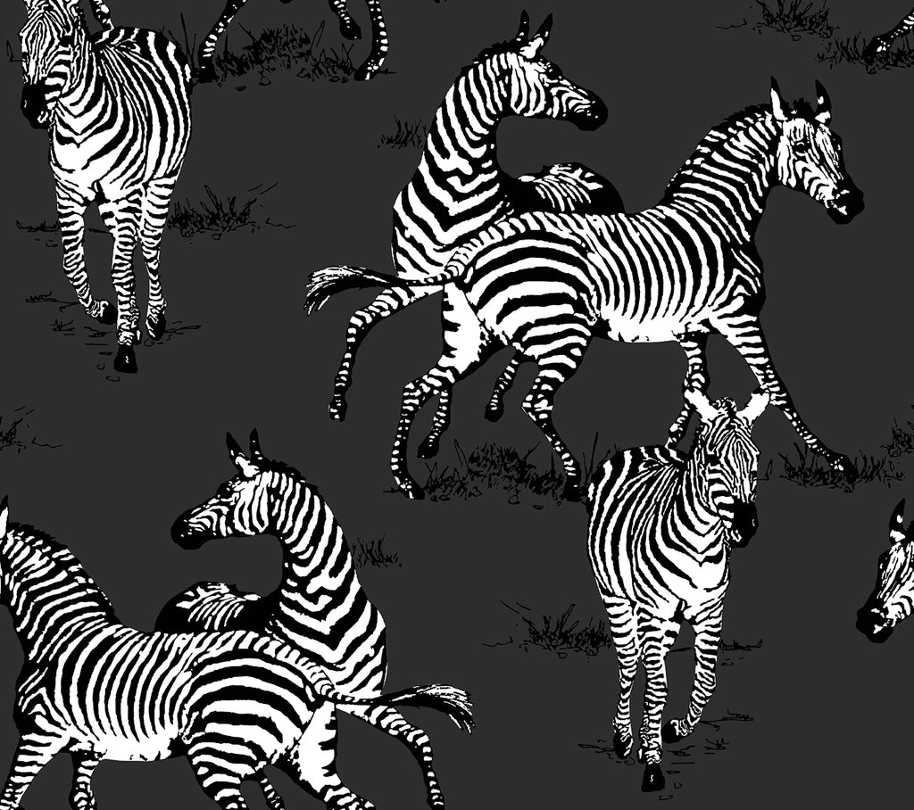 Malibu PS Playful Zebras Contemporary Animal Print - Charcoal | Peel and Stick Removable Wallpaper