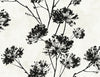 Malibu PS Dandelion Floral Contemporary Botanical - Ebony | Peel and Stick Removable Wallpaper