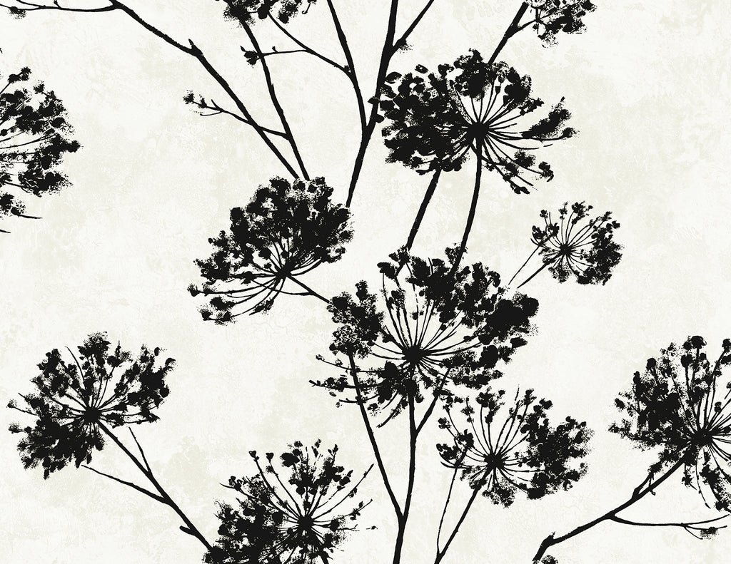 Malibu PS Dandelion Floral Contemporary Botanical - Ebony | Peel and Stick Removable Wallpaper