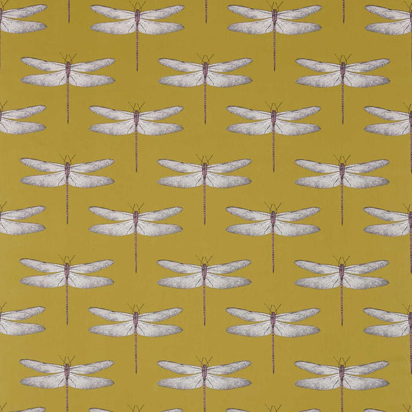 Demoiselle Chartreuse/Grape | Harlequin