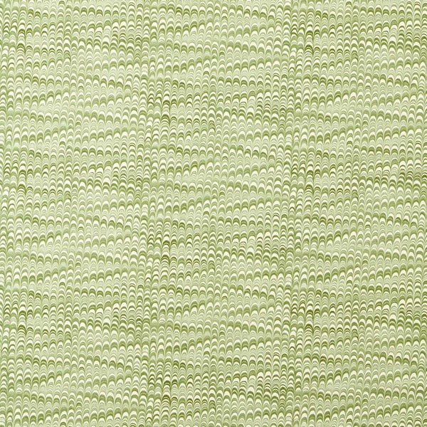 Washi Matcha | Harlequin