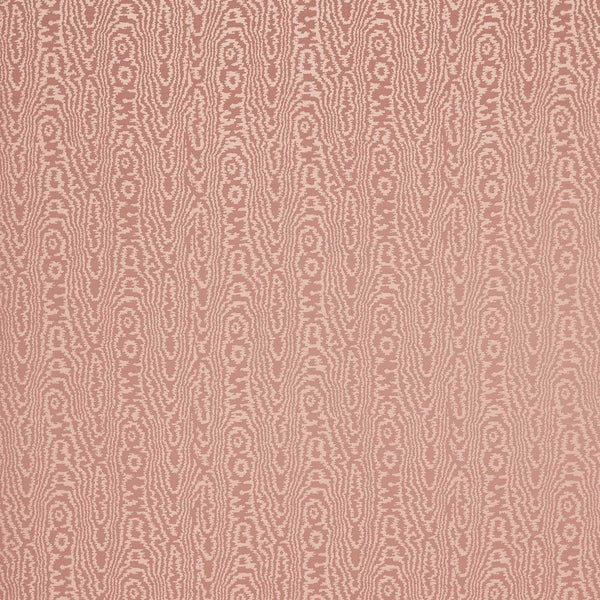 Elsworthy Rose | Harlequin