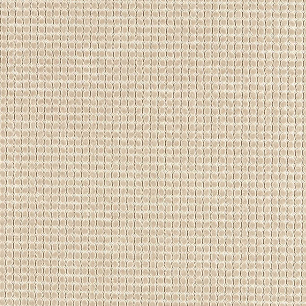 Loopy Spot Oatmeal | Harlequin