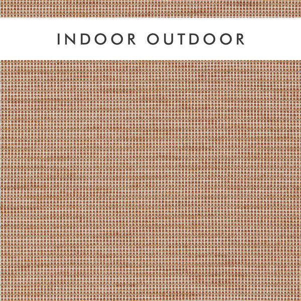 Cassia Clementine/Rhubarb/Rust | Harlequin