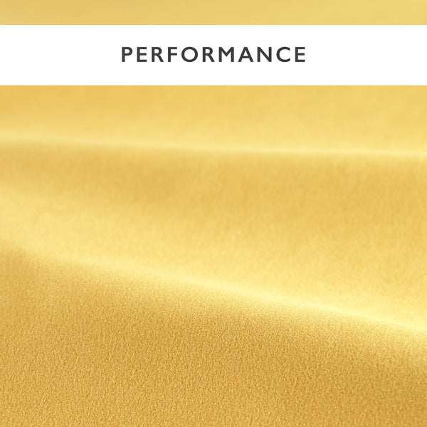 Performance Velvets Nectar | Harlequin