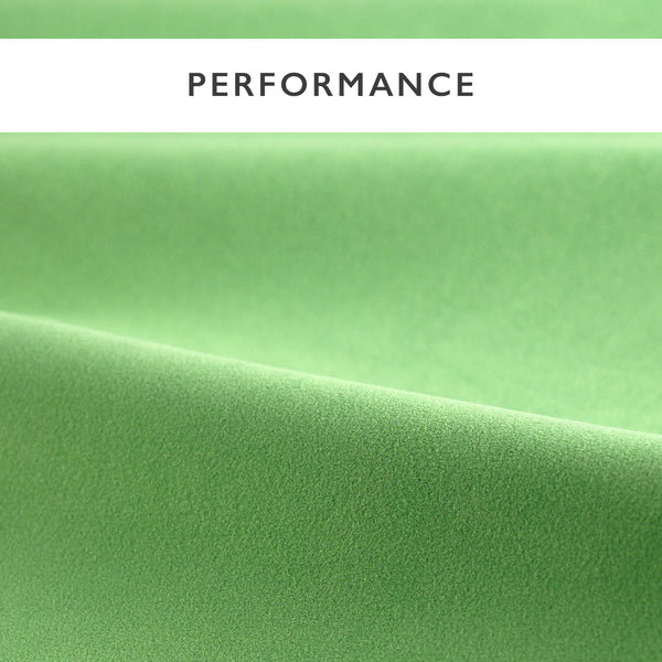 Performance Velvets Sweet Pea | Harlequin