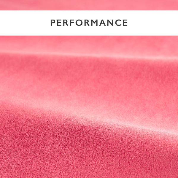 Performance Velvets Coral | Harlequin