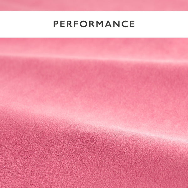 Performance Velvets Peony | Harlequin
