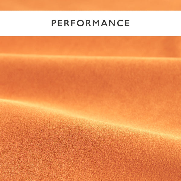 Performance Velvets Clementine | Harlequin